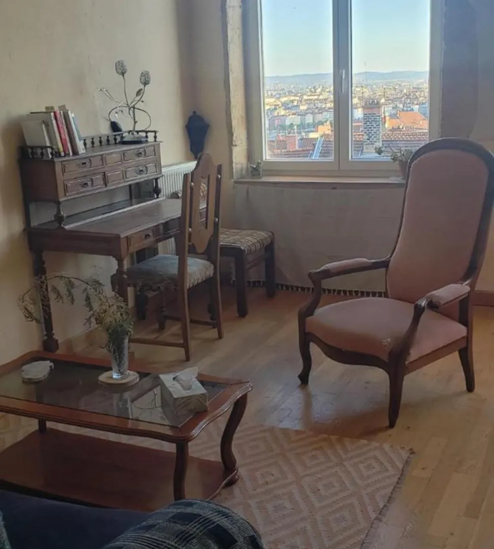 Charming Apartment With A View Lyon